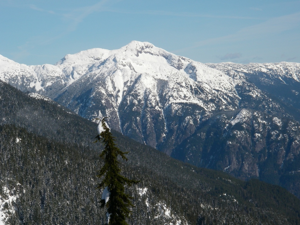 Looking NE at Davis Peak from Holy's apex